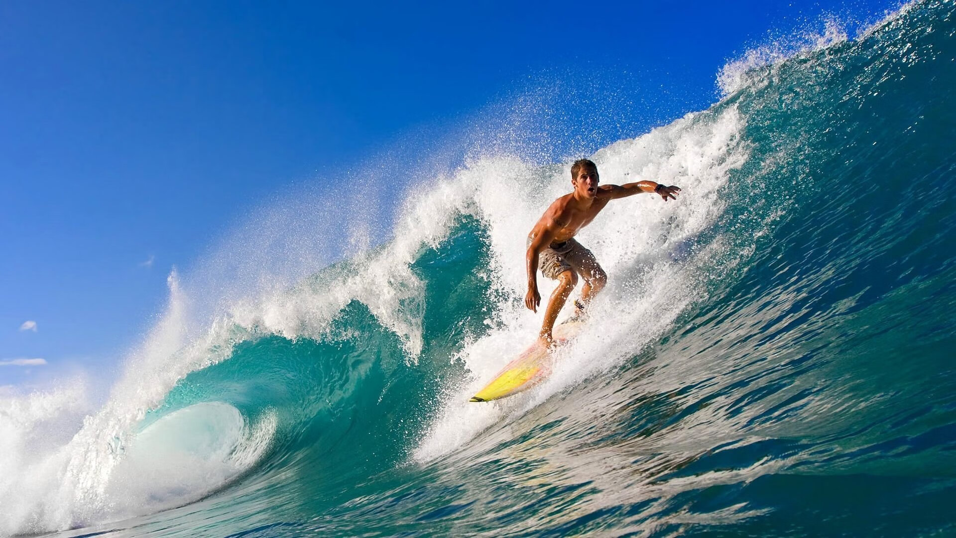 _山地自行车极限赛：穿越丛林，极速狂飙_，山地自行车越野赛